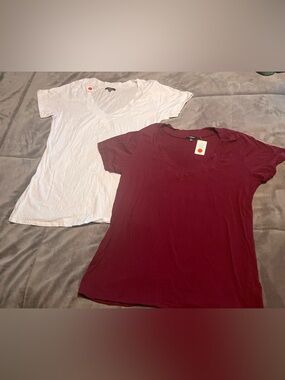 2 NWT Ambience shirts size 3X